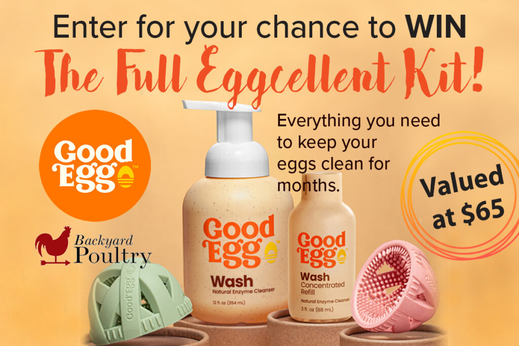 Enter for your chance to win!